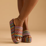 VEDA PLATFORM SLIDES IN MULTIKS