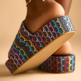 VEDA PLATFORM SLIDES IN MULTIKS