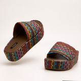 VEDA PLATFORM SLIDES IN MULTIKS