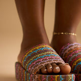 VEDA PLATFORM SLIDES IN MULTIKS