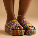 VEDA PLATFORM SLIDES IN MULTIKS