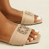 Daisy Slides in Tortilla